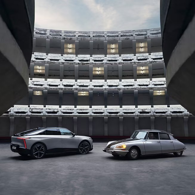 本日10/18(土)より【 DS 70th Anniversary Fair 】開催｜DS STORE茨城